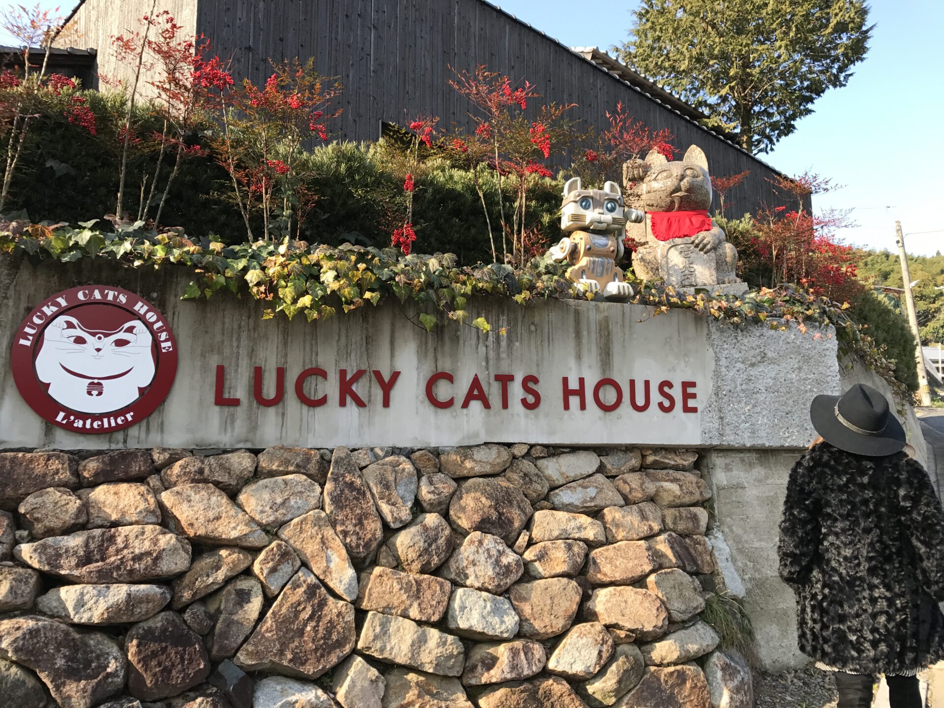 LUCKY CATS